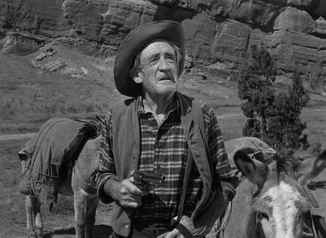 虎盗蛮花Colorado Territory(1949)插图2%4K电影下载_3D影视资源_杜比视界迅雷下载