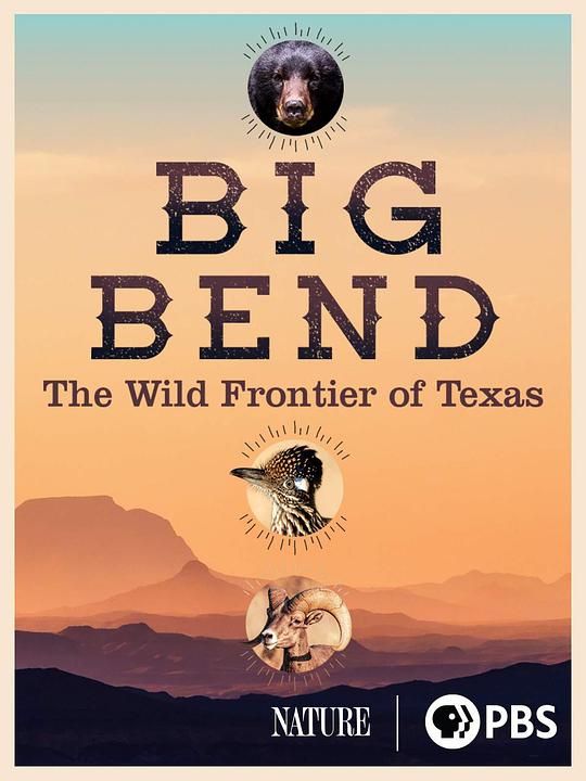 Big Bend: The Wild Frontier of Texas Season 39"Nature" Big Bend: The Wild Frontier of Texas(2021)插图%4K电影下载_3D影视资源_杜比视界迅雷下载