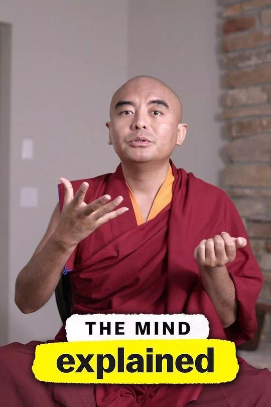 头脑解密The Mind, Explained(2019 – 2021)插图%4K电影下载_3D影视资源_杜比视界迅雷下载