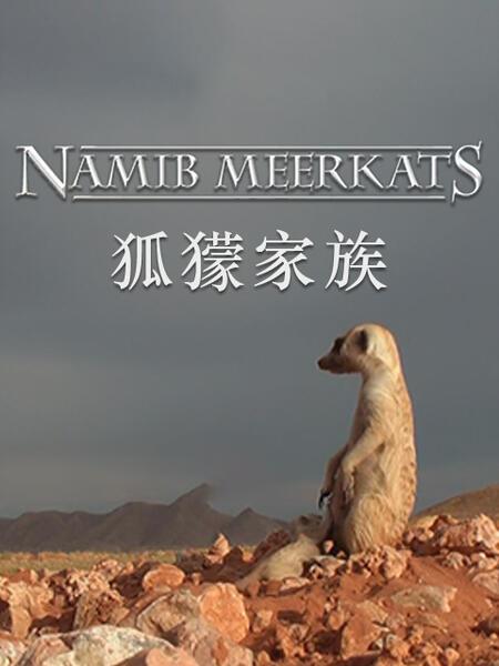 狐獴家族Clan of the Meerkat(2010)插图%4K电影下载_3D影视资源_杜比视界迅雷下载