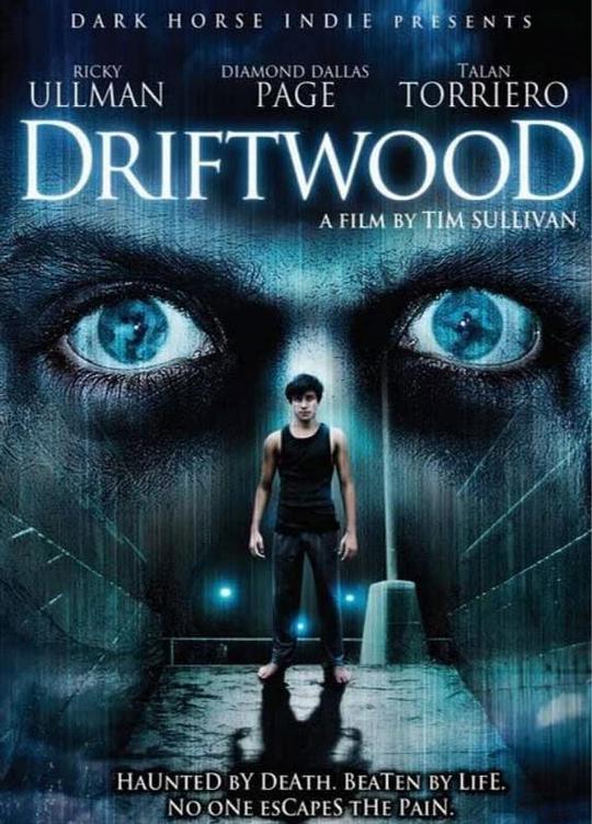 地狱管教所Driftwood(2007)插图%4K电影下载_3D影视资源_杜比视界迅雷下载