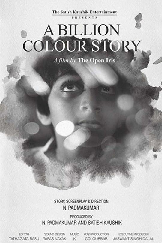 十亿彩色故事A Billion Colour Story(2016)插图%4K电影下载_3D影视资源_杜比视界迅雷下载