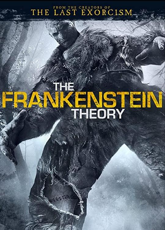 弗兰肯斯坦的军队Frankenstein’s Army(2013)插图%4K电影下载_3D影视资源_杜比视界迅雷下载