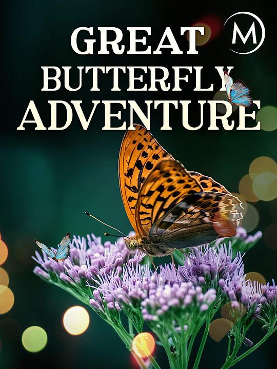 蝴蝶大冒险The Great Butterfly Adventure: Africa to Britain with the Painted Lady(2016)插图%4K电影下载_3D影视资源_杜比视界迅雷下载