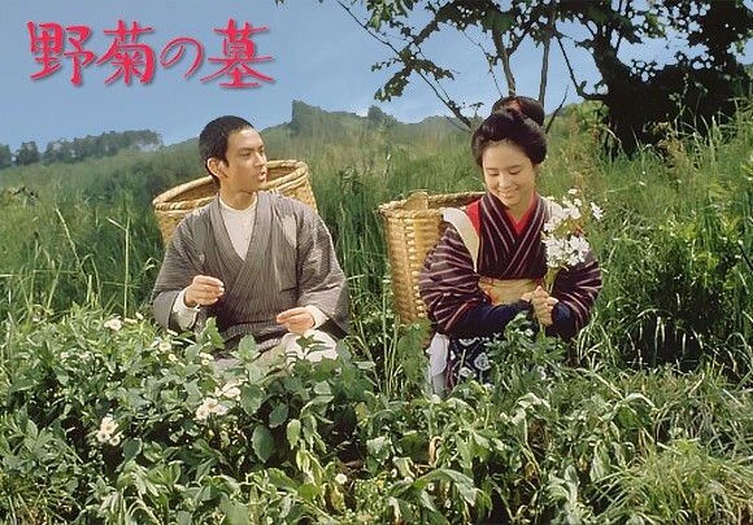 野菊之墓Nogiku no haka(1981)插图1%4K电影下载_3D影视资源_杜比视界迅雷下载