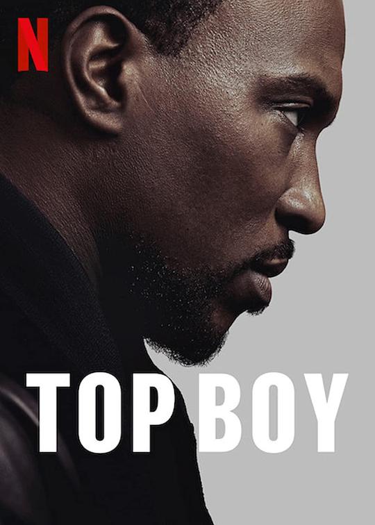 上层男孩Top Boy(2011 – 2022)插图%4K电影下载_3D影视资源_杜比视界迅雷下载