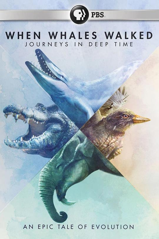 鲸鱼行走的时代：深时之旅When Whales Walked: Journeys in Deep Time(2019)插图%4K电影下载_3D影视资源_杜比视界迅雷下载