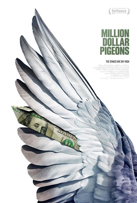 百万美元鸽子Million Dollar Pigeons(2022)插图%4K电影下载_3D影视资源_杜比视界迅雷下载