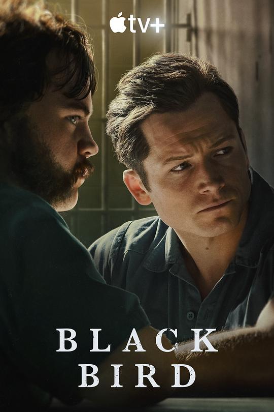 黑鸟Black Bird(2022)插图%4K电影下载_3D影视资源_杜比视界迅雷下载