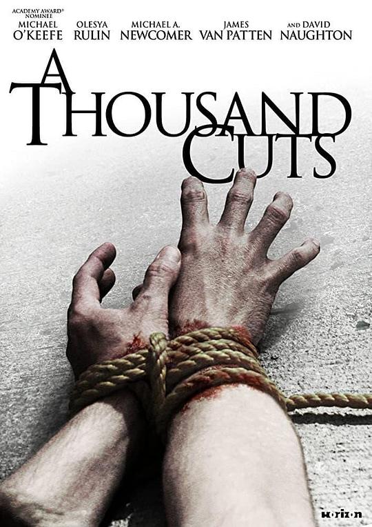 千刀万剐A Thousand Cuts(2011)插图%4K电影下载_3D影视资源_杜比视界迅雷下载