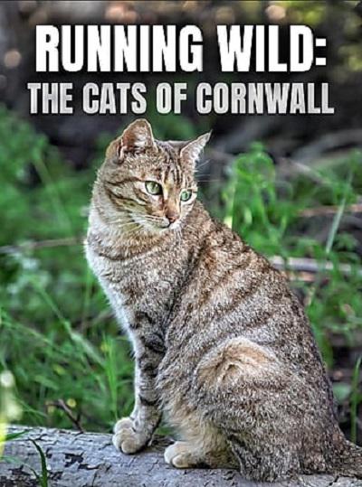 Running Wild: The Cats of CornwallRunning Wild: The Cats of Cornwall(2020)插图%4K电影下载_3D影视资源_杜比视界迅雷下载