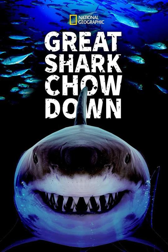 鲨鱼进食秀Great Shark Chow Down(2019)插图%4K电影下载_3D影视资源_杜比视界迅雷下载