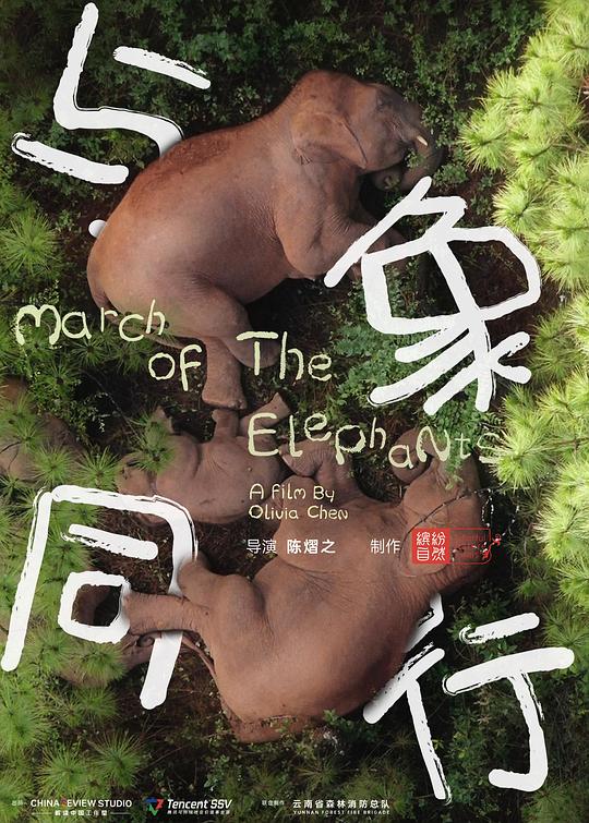 与象同行March of the Elephants(2022)插图%4K电影下载_3D影视资源_杜比视界迅雷下载