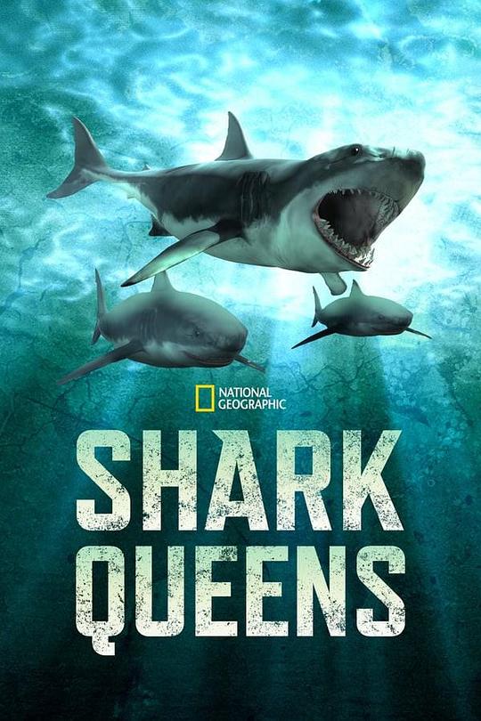 女王鲨Shark Queens(2022)插图%4K电影下载_3D影视资源_杜比视界迅雷下载