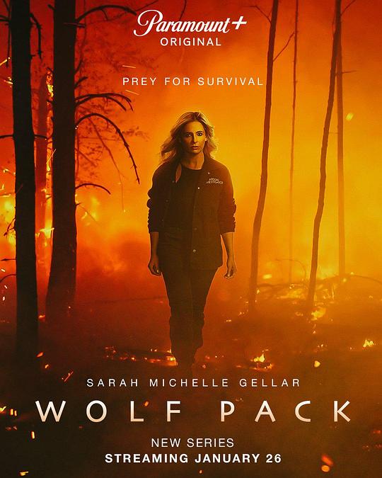 狼群Wolf Pack(2023)插图%4K电影下载_3D影视资源_杜比视界迅雷下载