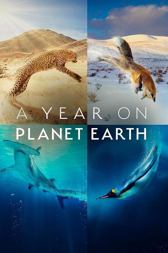 地球上的一年A Year on Planet Earth(2022 – 2023)插图%4K电影下载_3D影视资源_杜比视界迅雷下载