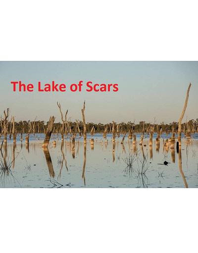 The Lake of ScarsThe Lake of Scars(2022)插图%4K电影下载_3D影视资源_杜比视界迅雷下载