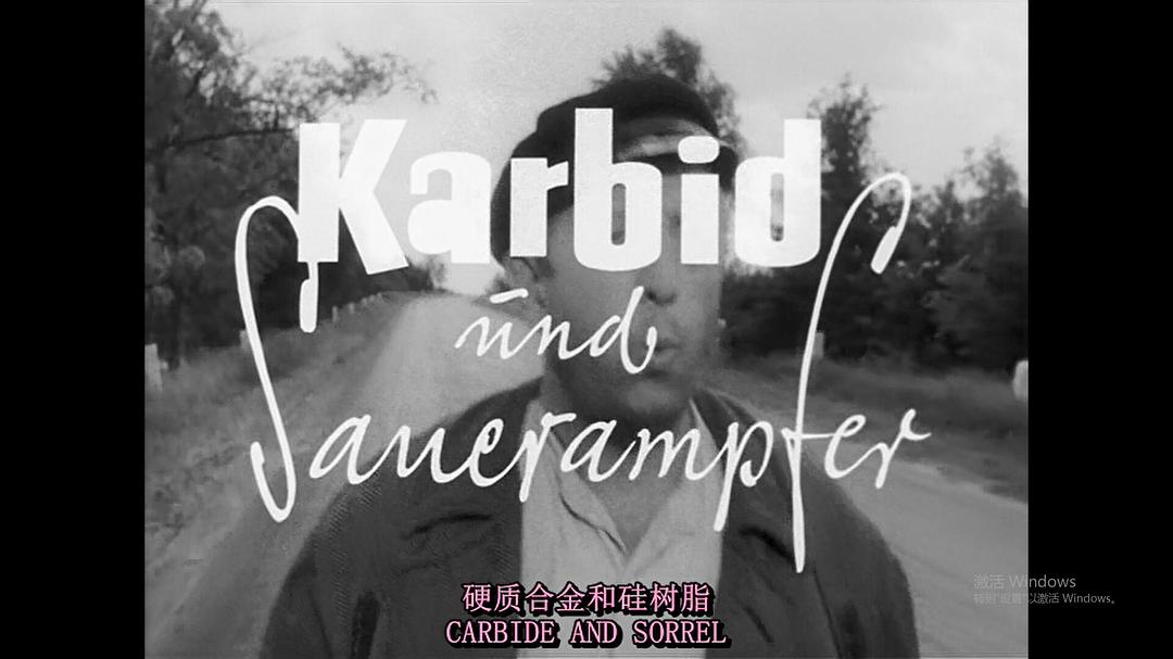 电石与酸模Karbid und Sauerampfer(1963)插图2%4K电影下载_3D影视资源_杜比视界迅雷下载