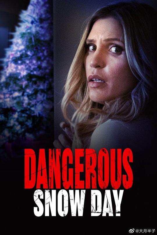 危险雪日Dangerous Snow Day(2021)插图%4K电影下载_3D影视资源_杜比视界迅雷下载