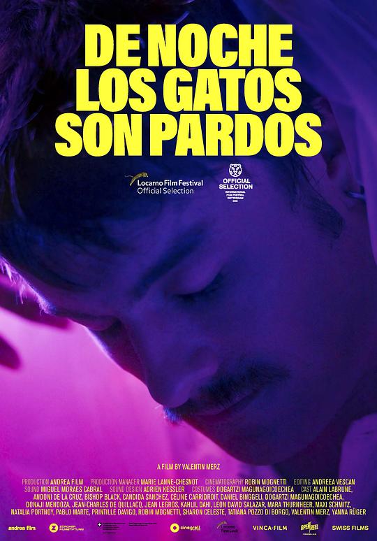 夜猫皆是黑De noche los gatos son pardos(2022)插图%4K电影下载_3D影视资源_杜比视界迅雷下载