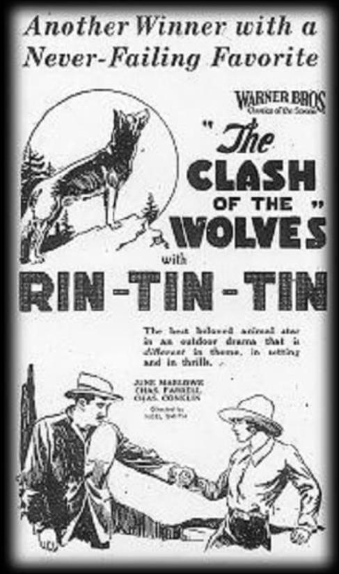 狼群的冲突Clash of the Wolves(1925)插图%4K电影下载_3D影视资源_杜比视界迅雷下载