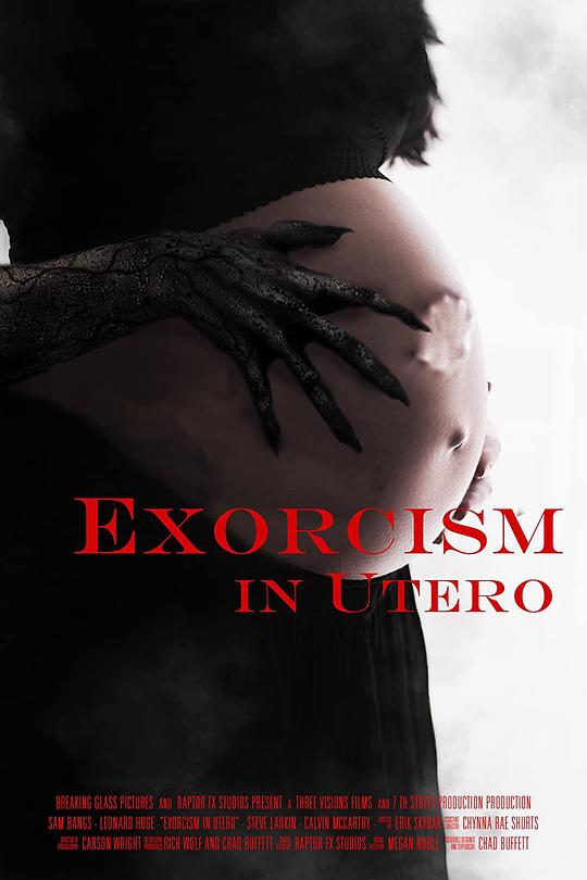 胎儿驱魔Exorcism in Utero(2023)插图%4K电影下载_3D影视资源_杜比视界迅雷下载