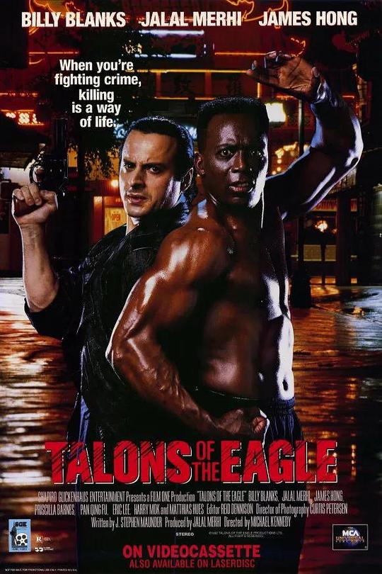 决战指令Talons of the Eagle(1992)插图%4K电影下载_3D影视资源_杜比视界迅雷下载