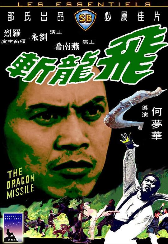 飞龙斩Fei long zhan(1976)插图%4K电影下载_3D影视资源_杜比视界迅雷下载