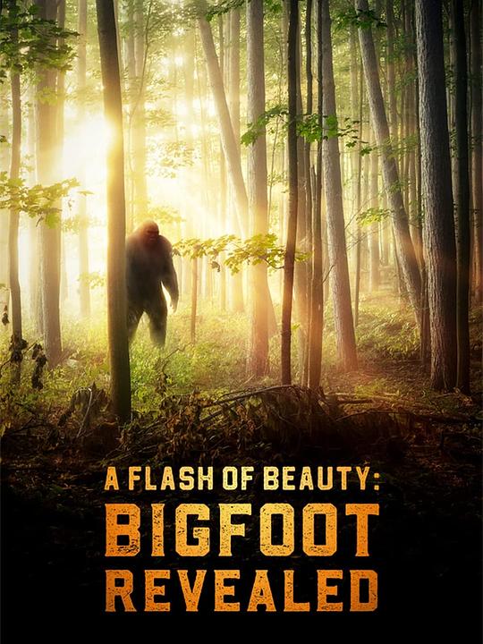 美丽的闪光：大脚怪揭秘A Flash of Beauty: Bigfoot Revealed(2022)插图%4K电影下载_3D影视资源_杜比视界迅雷下载