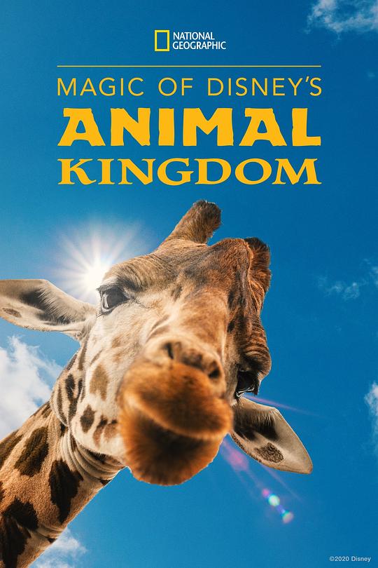 迪士尼动物王国Magic of Disney’s Animal Kingdom(2020)插图%4K电影下载_3D影视资源_杜比视界迅雷下载