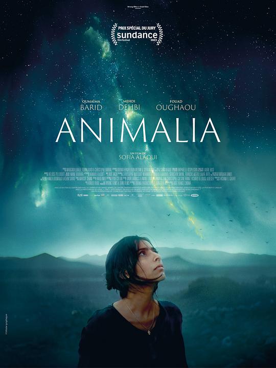 动物界Animalia(2023)插图%4K电影下载_3D影视资源_杜比视界迅雷下载