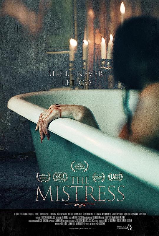 情妇The Mistress(2022)插图%4K电影下载_3D影视资源_杜比视界迅雷下载