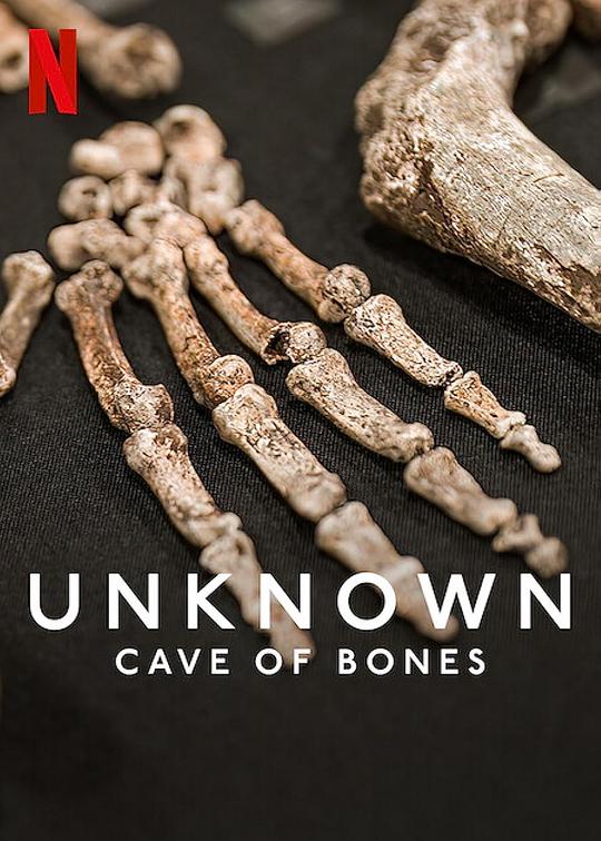 地球未知档案：骸骨洞穴Unknown: Cave of Bones(2023)插图%4K电影下载_3D影视资源_杜比视界迅雷下载