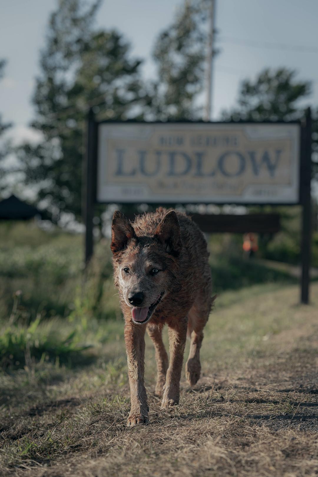 宠物坟场2Pet Sematary: Bloodlines(2023)插图2%4K电影下载_3D影视资源_杜比视界迅雷下载