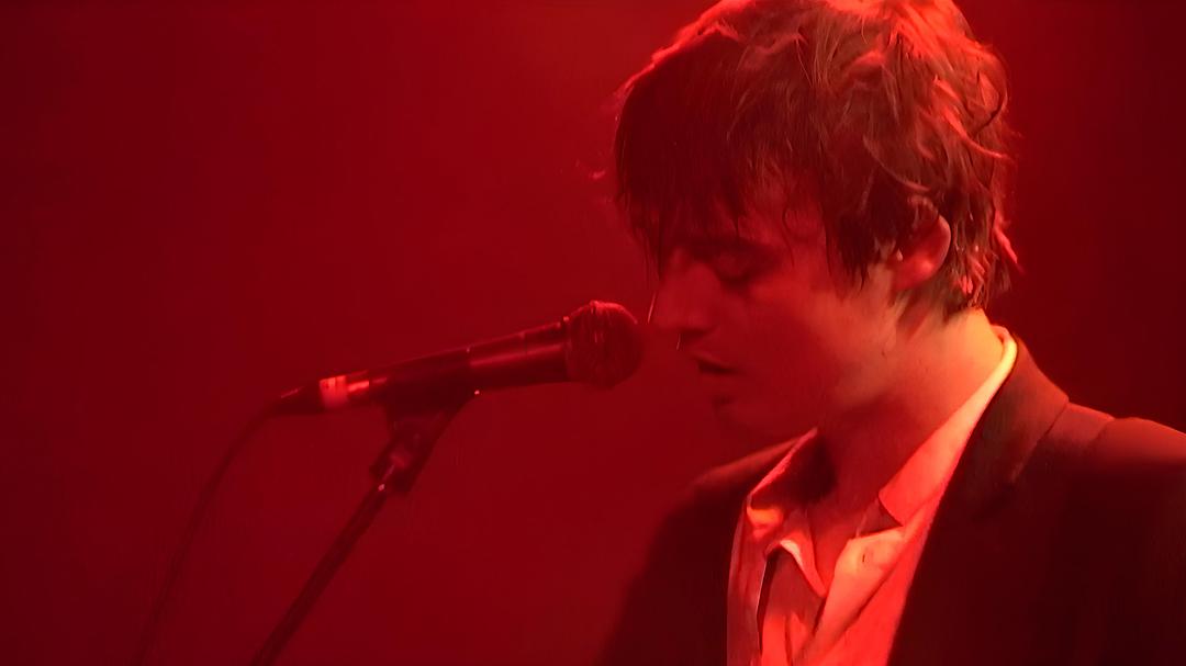 Peter Doherty: Stranger in My Own SkinStranger in My Own Skin(2023)插图2%4K电影下载_3D影视资源_杜比视界迅雷下载