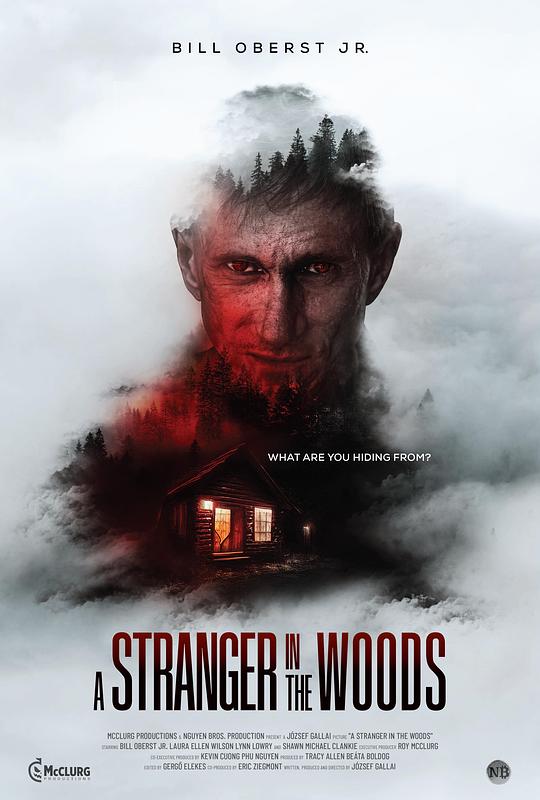 树林里的陌生人A Stranger in the Woods(2024)插图%4K电影下载_3D影视资源_杜比视界迅雷下载