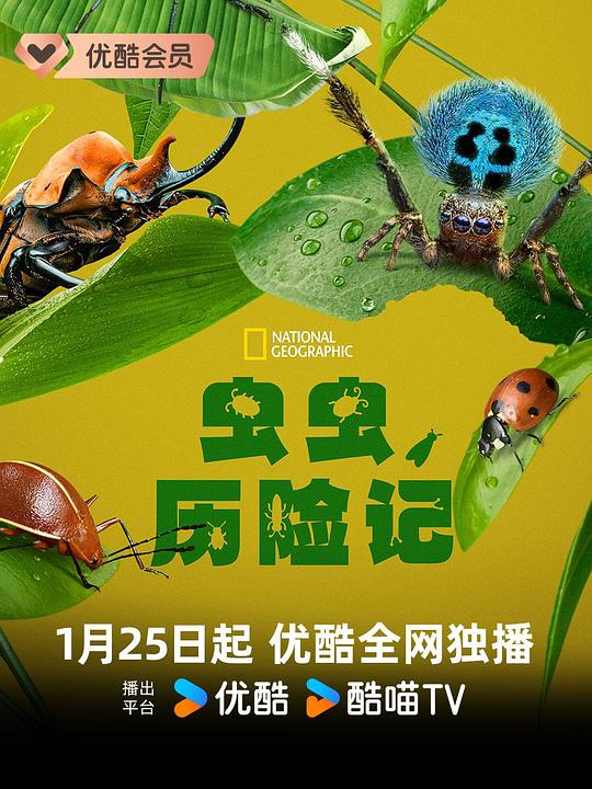 虫虫历险记A Real Bug’s Life(2024)插图%4K电影下载_3D影视资源_杜比视界迅雷下载