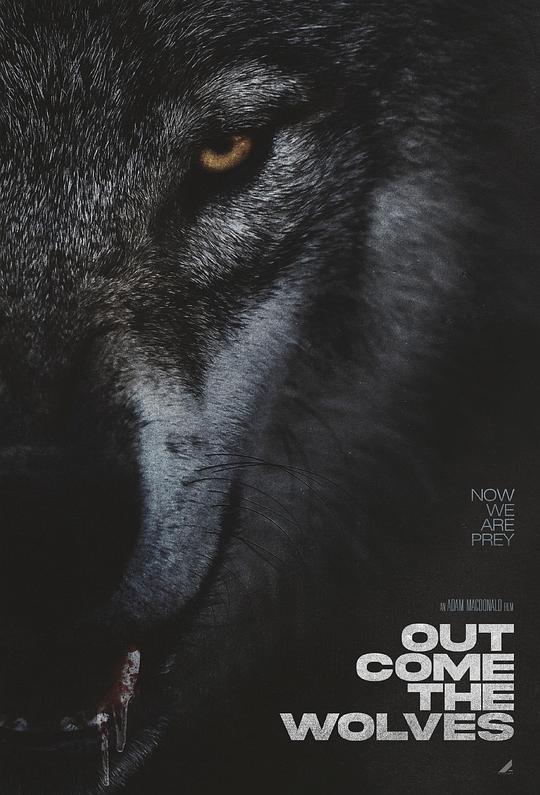 狼群出动Out Come the Wolves(2024)插图%4K电影下载_3D影视资源_杜比视界迅雷下载