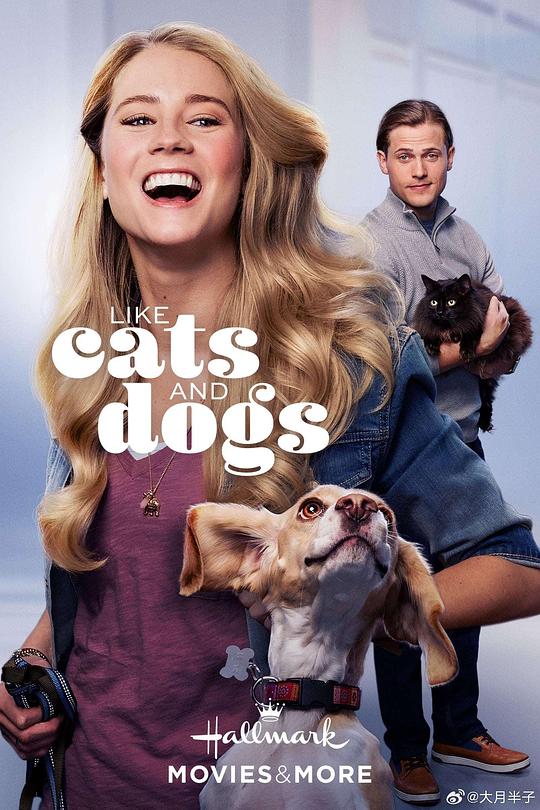 爱上猫狗Like Cats & Dogs(2017)插图%4K电影下载_3D影视资源_杜比视界迅雷下载