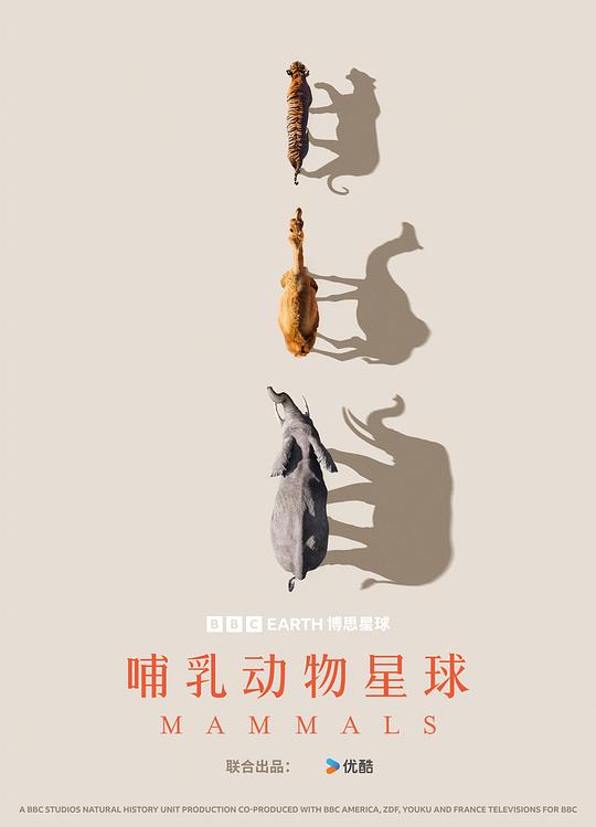 哺乳动物星球Mammals(2024)插图%4K电影下载_3D影视资源_杜比视界迅雷下载