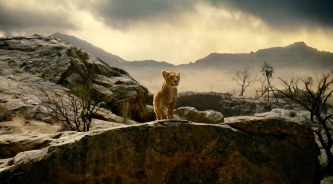 狮子王：木法沙传奇Mufasa: The Lion King(2024)插图2%4K电影下载_3D影视资源_杜比视界迅雷下载