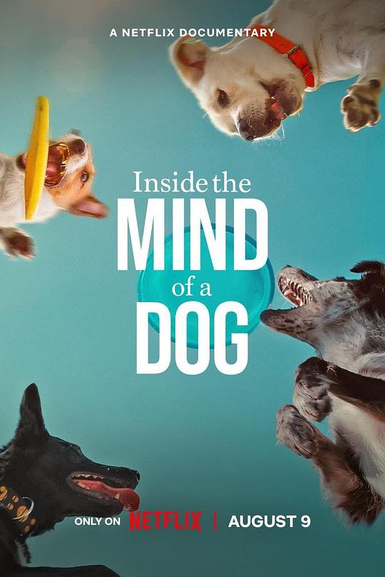 汪星人的奇思妙想Inside the Mind of a Dog(2024)插图%4K电影下载_3D影视资源_杜比视界迅雷下载