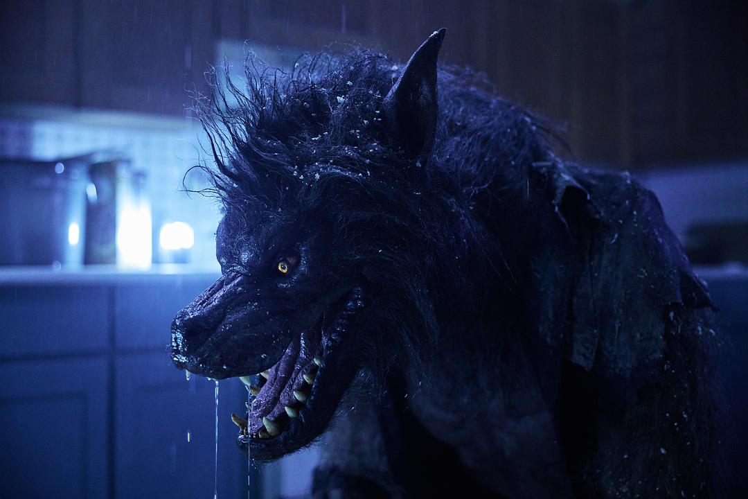 异变狼人Werewolves(2024)插图2%4K电影下载_3D影视资源_杜比视界迅雷下载