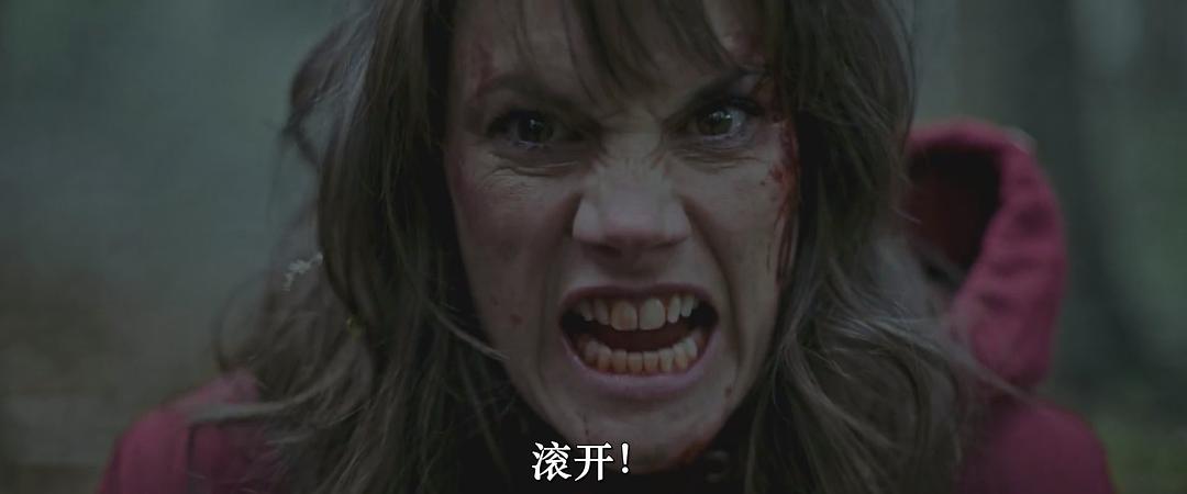 狼群出动Out Come the Wolves(2024)插图2%4K电影下载_3D影视资源_杜比视界迅雷下载