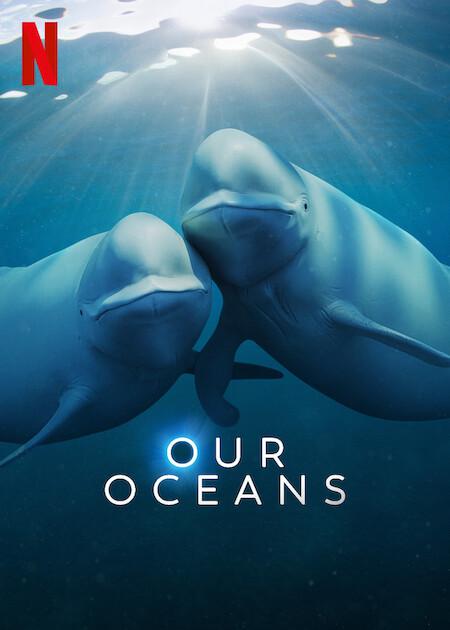 我们的海洋Our Oceans(2024)插图%4K电影下载_3D影视资源_杜比视界迅雷下载