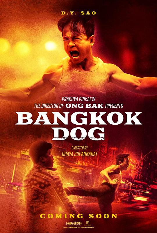 曼谷战狼Bangkok Dog(2024)插图%4K电影下载_3D影视资源_杜比视界迅雷下载