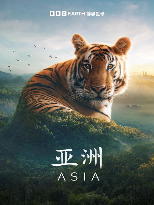 亚洲Asia(2024)插图%4K电影下载_3D影视资源_杜比视界迅雷下载