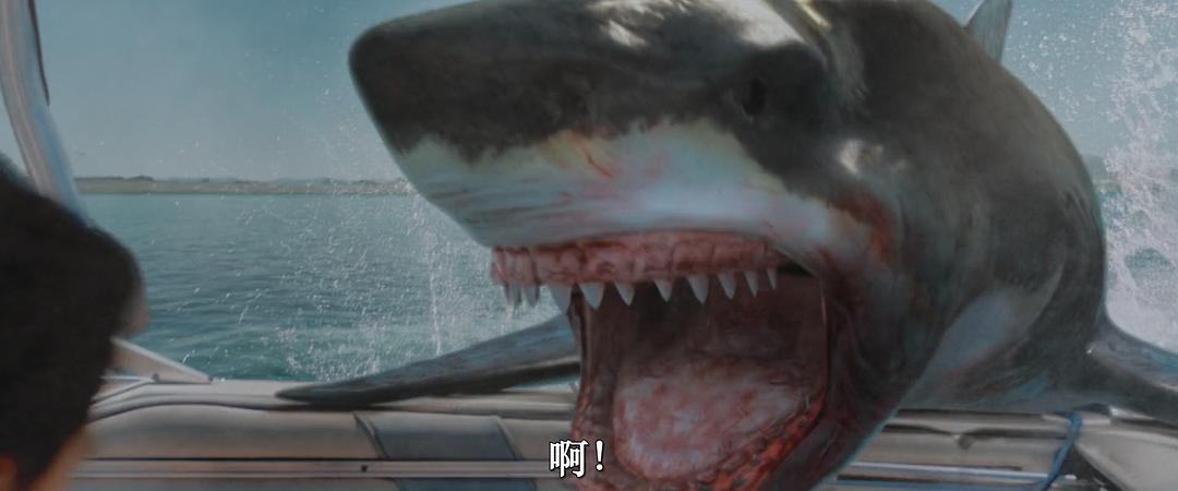 恶鲨警报Shark Warning(2024)插图2%4K电影下载_3D影视资源_杜比视界迅雷下载