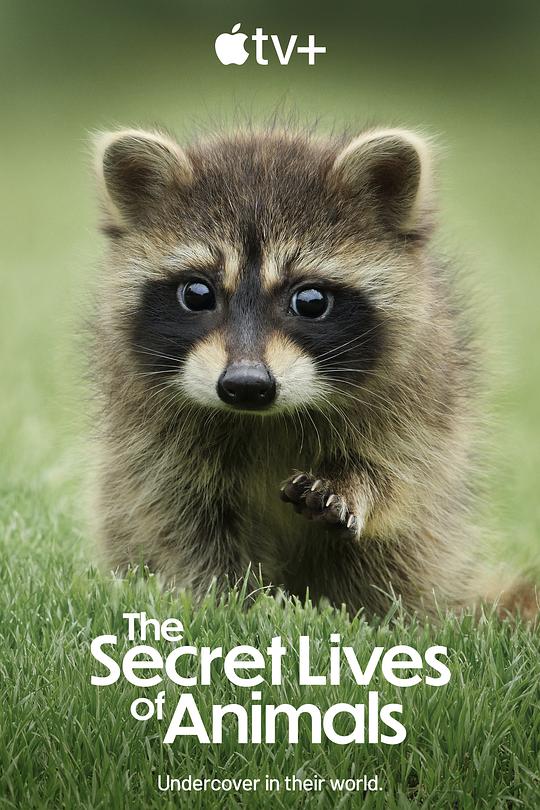 动物的秘密生活The Secret Lives of Animals(2024)插图%4K电影下载_3D影视资源_杜比视界迅雷下载