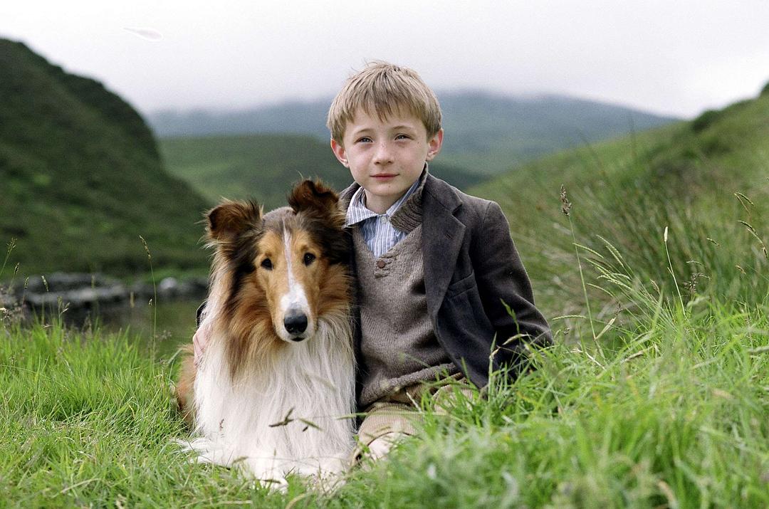 新灵犬莱西Lassie(2005)插图2%4K电影下载_3D影视资源_杜比视界迅雷下载